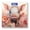 Color3741, variant on Bathroom Scale, Highly Accurate Digital Body Scale,Precisely Measures Weight up to 400 lbs-Colorful French Bulldog In The Style Of Pop Art