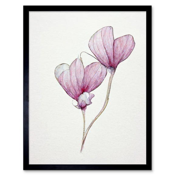Simple Pink Cyclamen Flower Modern Watercolour Illustration Minimalist Art Print Framed Poster Wall Decor 12x16 inch