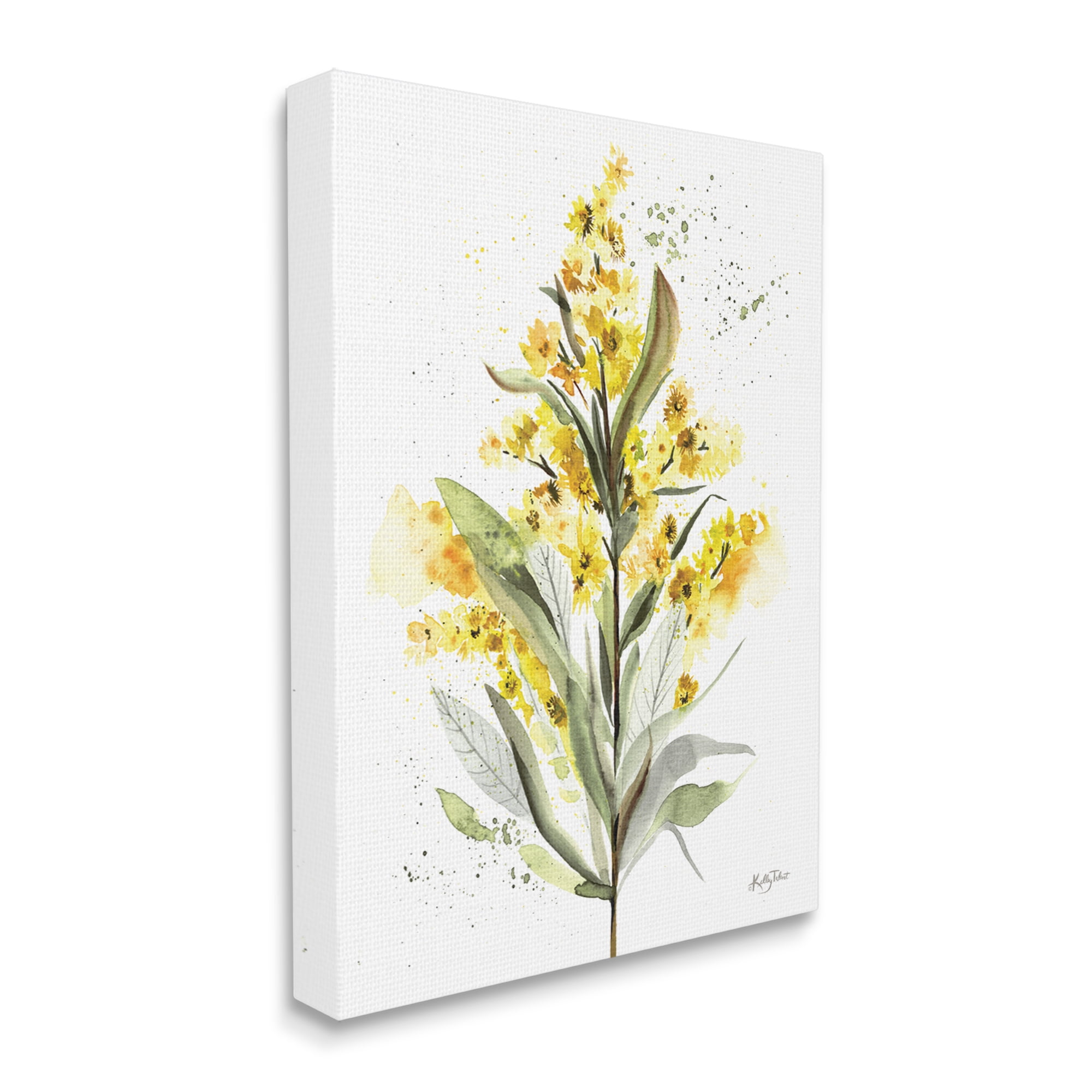Stupell Industries Wild Daisies Leaf Sprout Flower Impressionist Illustration,24 x 30, Design by Kelley Talent