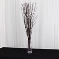 thumbnail image 3 of BalsaCircle 6 Natural Extra Long 46" Decorative Birch Tree Branches Vase Fillers Rustic Dried Twigs Sticks Wedding Party, 3 of 8