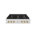 thumbnail image 2 of ZLINE 36 in. Autograph Edition Paramount Gas Rangetop with 6 Burners and Porcelain Cooktop in DuraSnow Stainless Steel with Polished Gold Accents (SRTSZ-36-G), 2 of 2