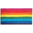 thumbnail image 6 of Dynomighty, Original Tyvek Wallet - Pride Colourful / One Size / Water / Stain / Tear Resistant - Be Mighty!, 6 of 11