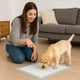 thumbnail image 2 of Genérico Tapete Entrenador para Perro, Paquete de 150 Unid 50x50 Cm Absorbente para Perro - Entrenador para Mascotas Desechable - Accesorios para Uso para Camas de Noche, 2 of 7
