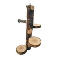 thumbnail image 3 of Escalera de madera para escalar, jaula, accesorios, rampa, ejercicio, patio de , actividad, hámster, juguetes para masticar para Chinchilla, Sunnimix Juguetes de madera de hámster, 3 of 8