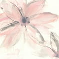 thumbnail image 2 of Paschke, Chris 15x15 Black Ornate Wood Framed with Double Matting Museum Art Print Titled - Blush Clematis II, 2 of 4