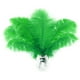 thumbnail image 1 of Plumas artificiales de avestruz verde para plantas voladoras, 15 unidades, 30 a 35 cm, 1 of 6