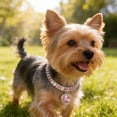thumbnail image 5 of Aoznliie Dog Rhinestone Cat Collar, Adjustable Bling Crystal Pet Necklace with Heart Pendant for Small Medium Pets Party Wedding, 7.9-11.8 Inches, 5 of 6