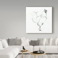 thumbnail image 3 of Trademark Fine Art 'Rooster II Dark Square' Canvas Art by Avery Tillmon, 3 of 3
