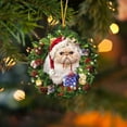 1pc Christmas Acrylic Double Side Christmas Wreath For Cats Decorations