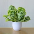 thumbnail image 4 of Artificial Potted Plant Leaf Simulation Leaves Home Office Desktop Greenery Decoration, 4 of 4