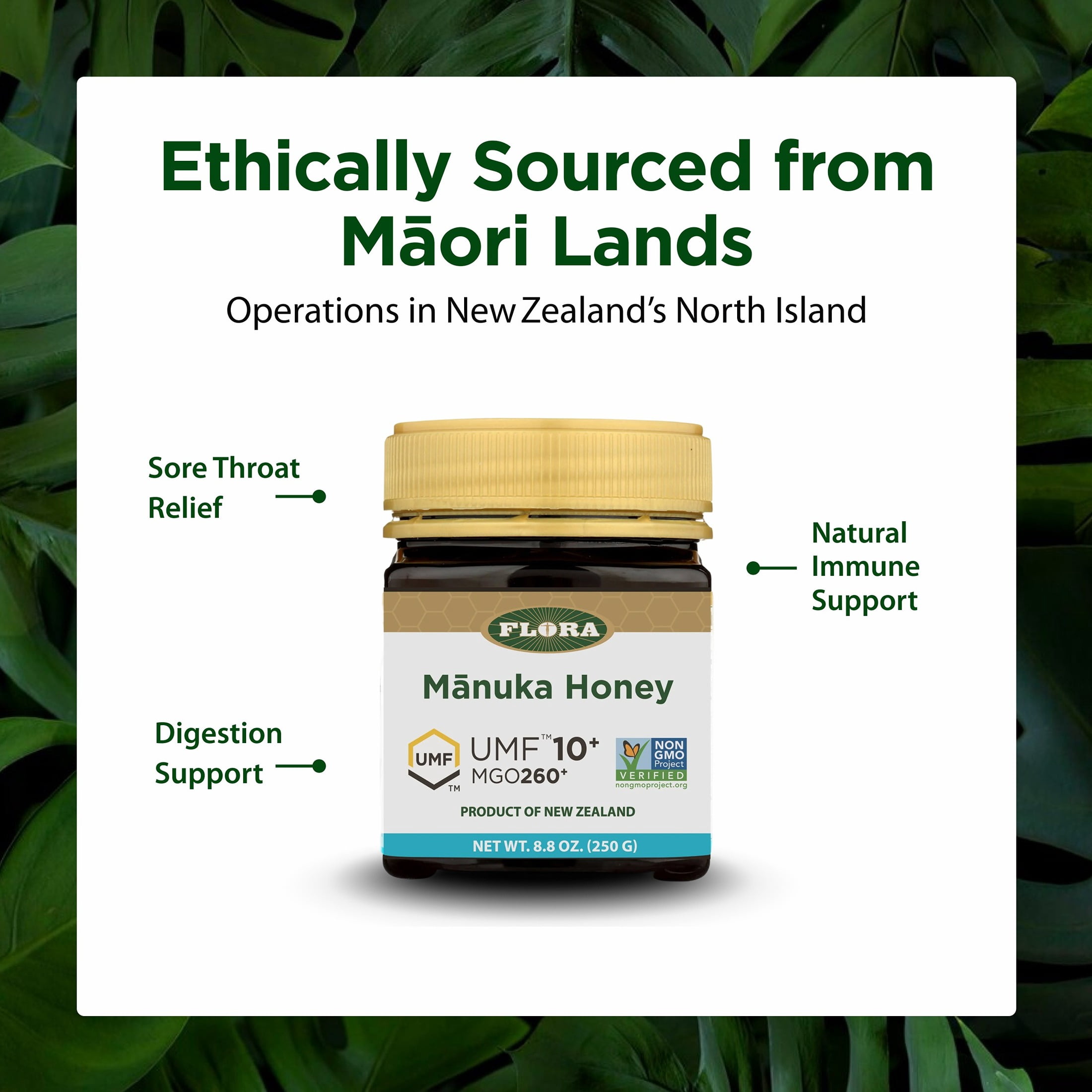 Flora - Mānuka Honey MGO 250+/10+ UMF, New Zealand Honey, 100% Traceable MGO,Natural Healing, Sore Throat Relief, Aids Digestion, 8.8-oz. Jar