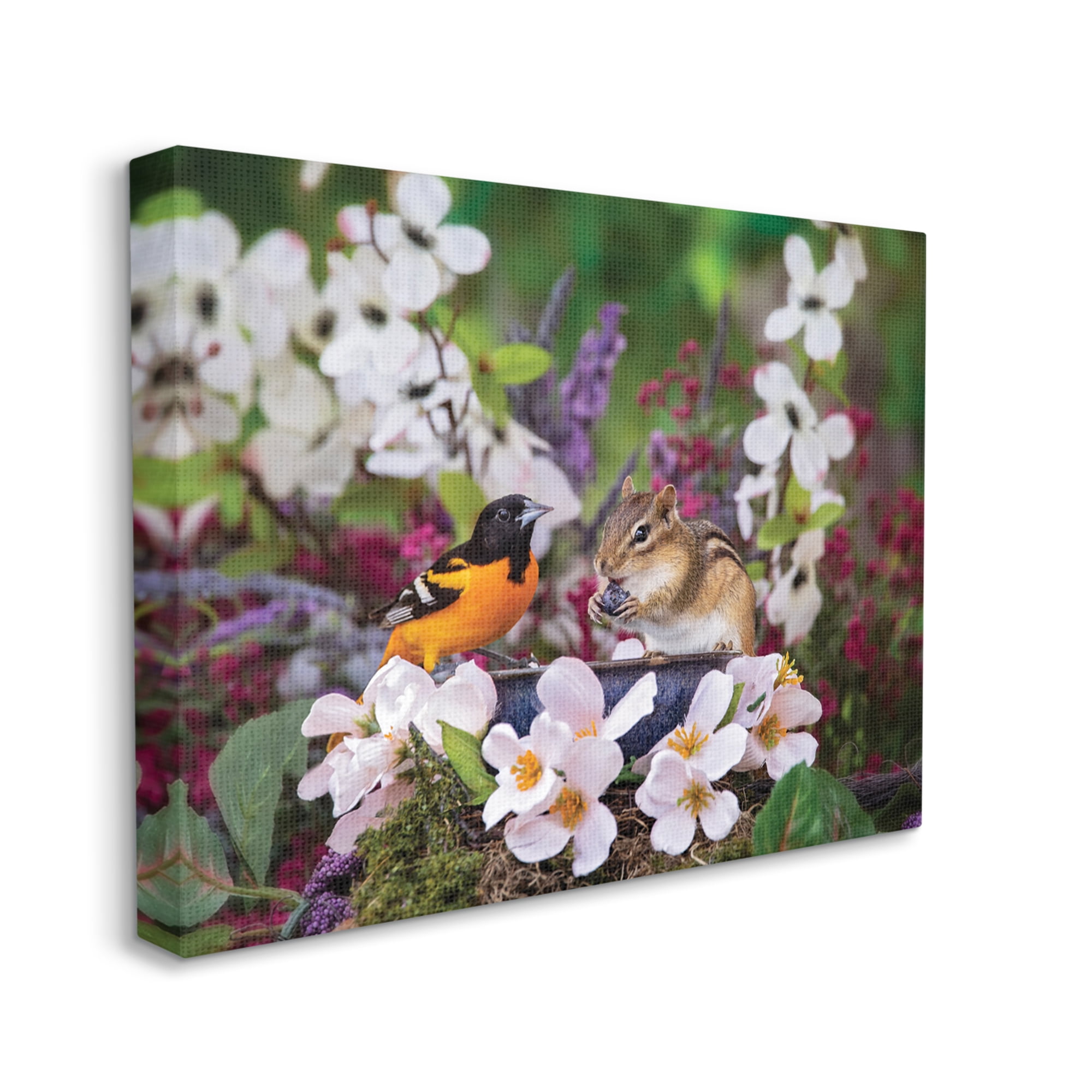 Stupell Industries Squirrel & Bird in Nature Animals & Insects Photography Gallery Wrapped Canvas Print Wall Art, 48 x 36