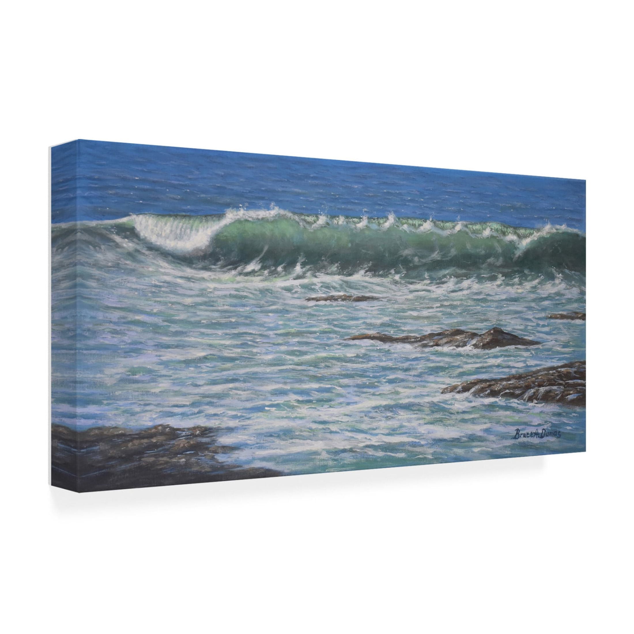 Canvas Wall Art - Bruce Dumas 'Wavemerized' Wall Art for Living Room, Bedroom, or Office Décor by Trademark Fine Art - 47 x 24 Inches