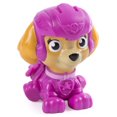 thumbnail image 1 of PAW Patrol Air Rescue Mini Figures, Skye, 1 of 2