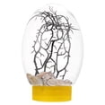 thumbnail image 1 of Small Fish Tank Desktop Fish Tank LED Fish Tank Desktop Aquarium for Home Decor, 1 of 8
