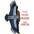 thumbnail image 5 of HENGDA KITE 71" Strong Eagles Huge Beginner Eagle Kites for Children and Adults Polyester, 5 of 6