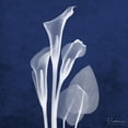 thumbnail image 2 of Art.com Three Indigo Calla Lilies Premium Giclee Print by Albert Koetsier, 24" x 24", 2 of 4