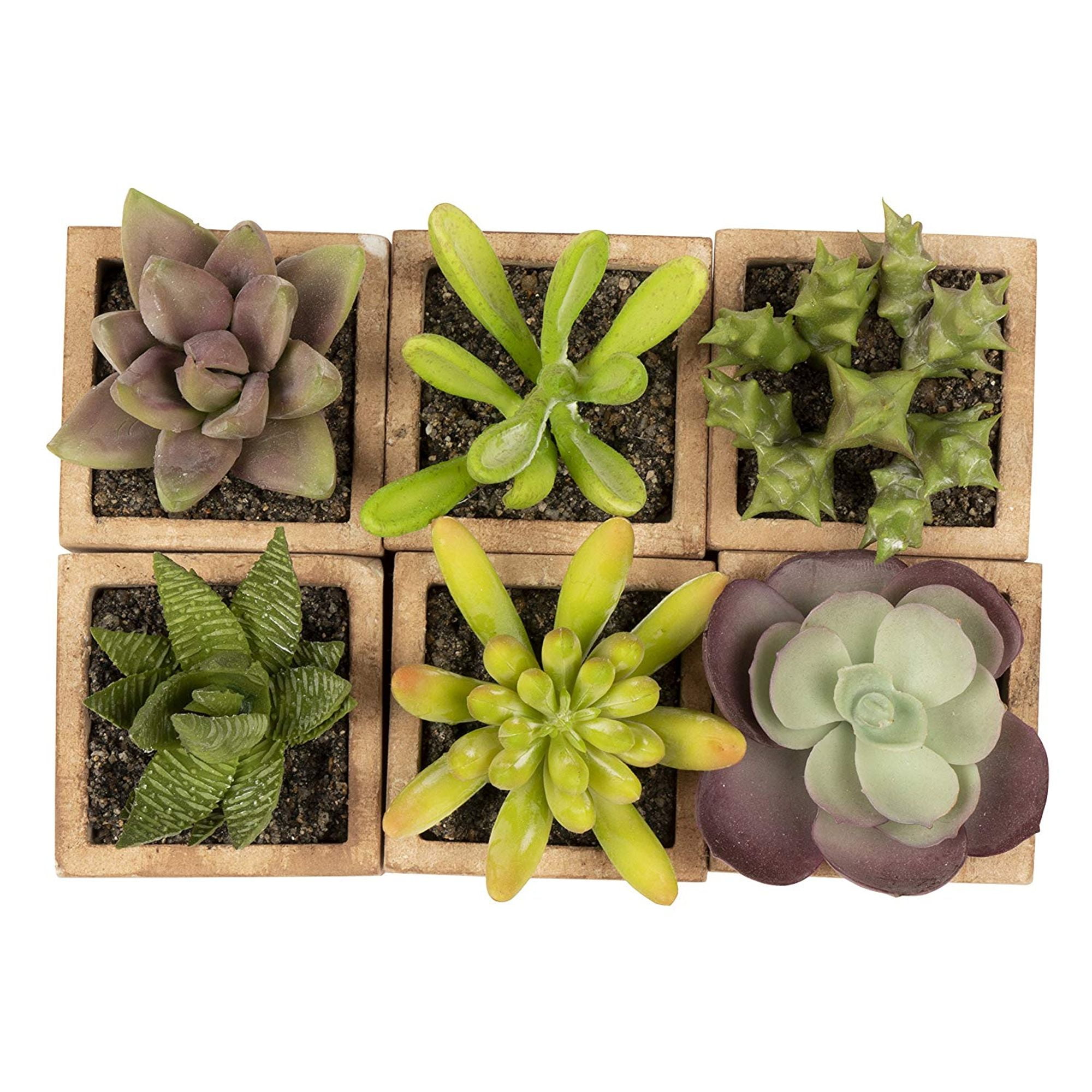 Juvale Faux Succulents 6Pack Decorative Artificial Plants, Assorted