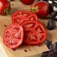thumbnail image 4 of Expert Gardener 1.5G Red Tomato Roadster Live Plants Decorative Pot Sun, 4 of 6