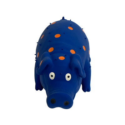 Buy Pigglesworth Latex Dog Toy Blue Online Ghana Ubuy