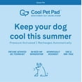 thumbnail image 2 of The Green Pet Shop Dog Cool Pet Pad X-Large, 2 of 9