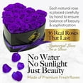 thumbnail image 2 of GLAMOUR BOUTIQUE 16-Piece Forever Flowers Heart Shape Box - Preserved Roses, Immortal Roses That Last A Year - Eternal Rose Preserved Flowers for Delivery Prime Mothers Day & Valentines Day - Purple, 2 of 8