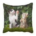 thumbnail image 1 of BOSDECO Housse de Coussin Petit Chiot avec Chaton tabby 18x18 Pouces, 1 of 2