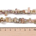 thumbnail image 4 of Natural Freshwater Shell Beads Strands Dyed AB color Nugget PapayaWhip 7~17.5x5~5.5x6~8.5mm Hole: 1.2mm about 72~73pcs/strand 15.35''(39cm) Freshwater Shell, 4 of 4