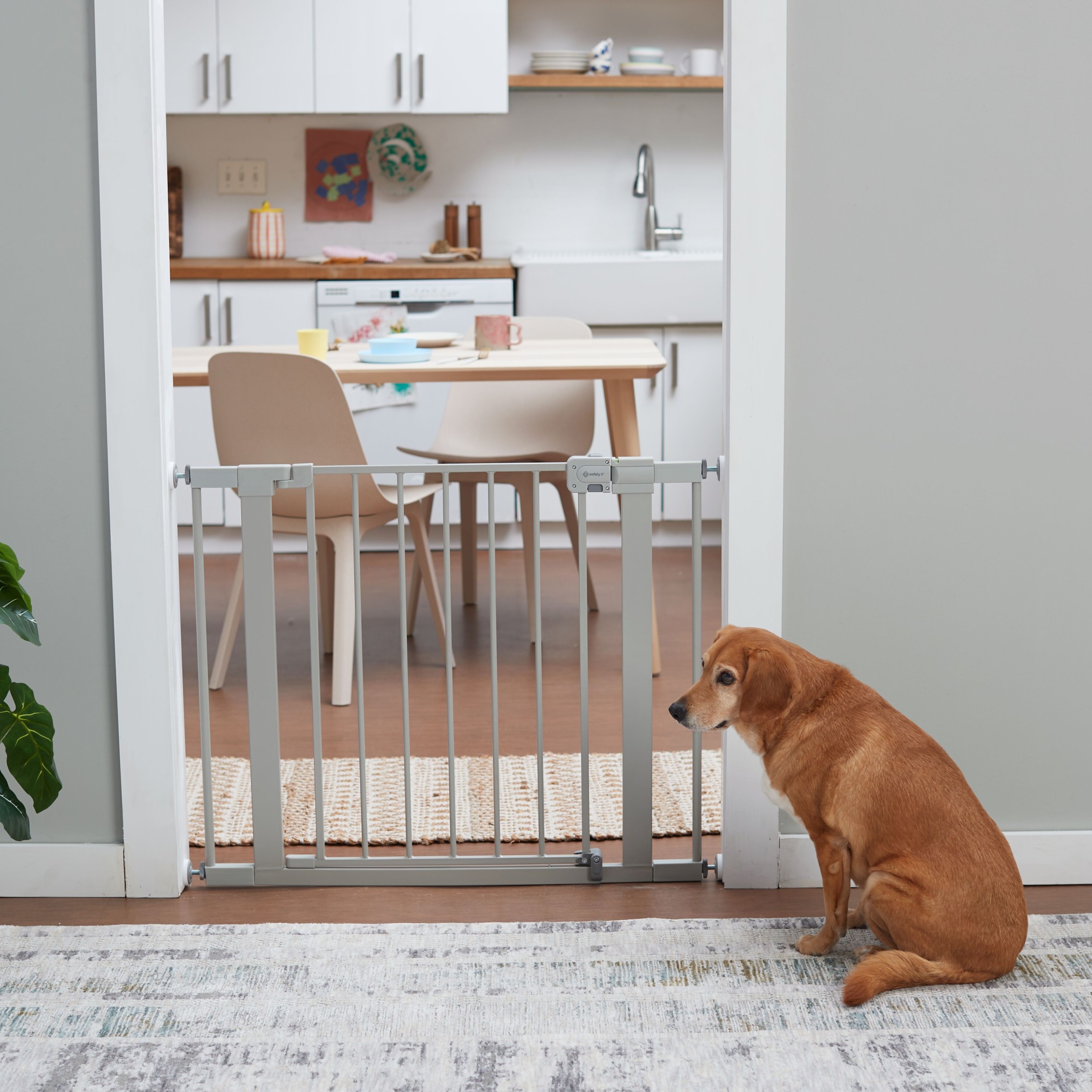 Safety 1st Pressure-Mounted Baby Gate with Door, 29-38 Inches, Gray photo 2