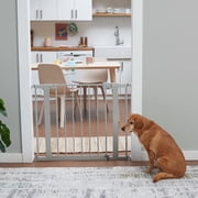 Safety 1st Pressure Mounted Baby Gates for Doorways, SecureTech® No-Drill, With Door, 29-38, Gray