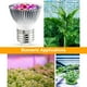 thumbnail image 5 of Bombilla E27 para cultivo de plantas, espectro completo, 5 of 7