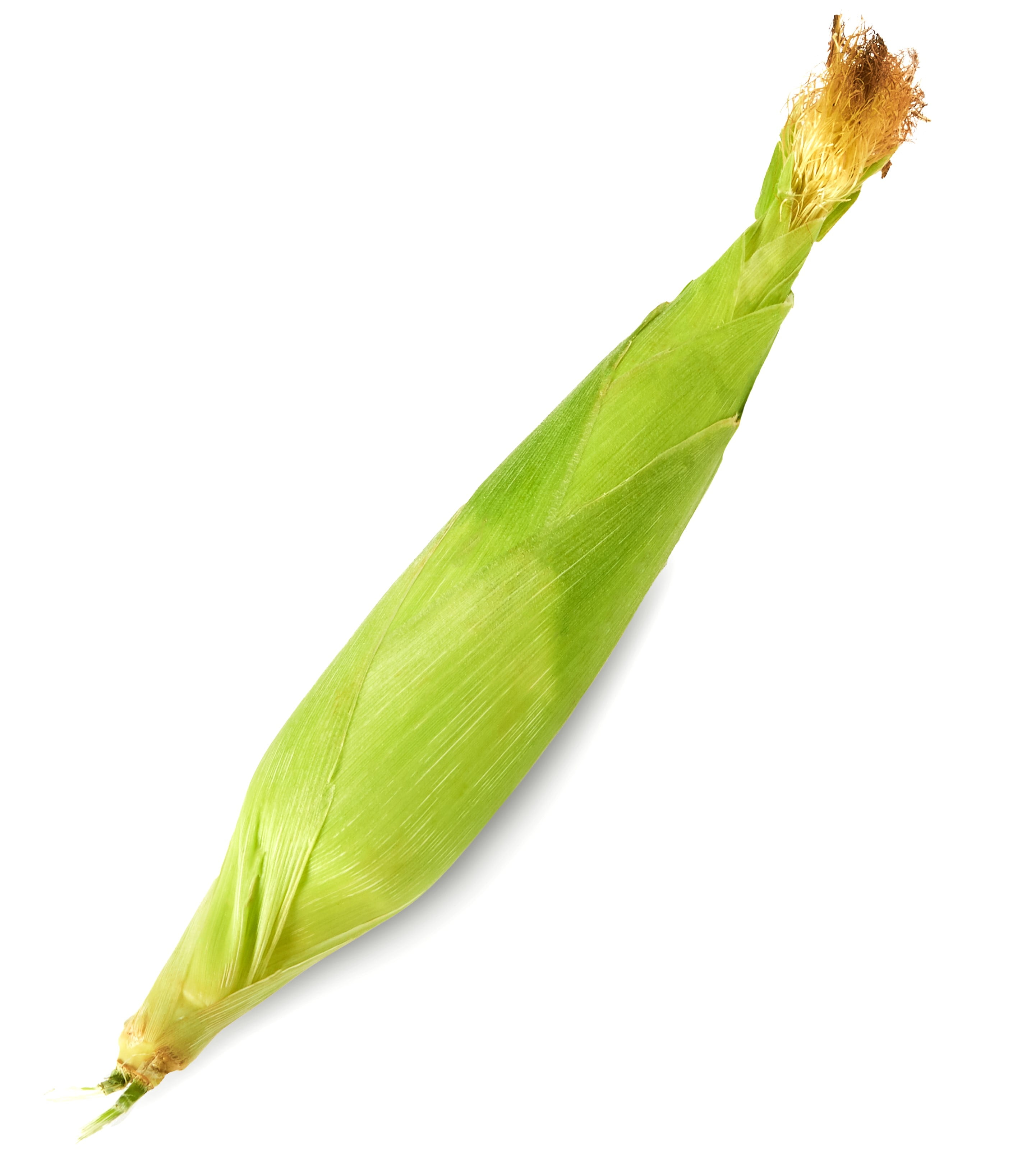 Fresh Sweet Corn on the Cob, Each