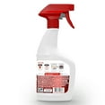 Hoover Oxy Spot and Stain Remover for Carpet and Upholstery, 22 oz