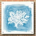 thumbnail image 3 of Epic Art 'Water Coral Cove VI' by Lisa Audit, Acrylic Glass Wall Art, 36"x36", 3 of 7
