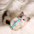 thumbnail image 4 of Cats Toothbrush,Cat Fish Shape Toothbrush, Toothbrush for Cats,Cleaning Toy, 4 of 4