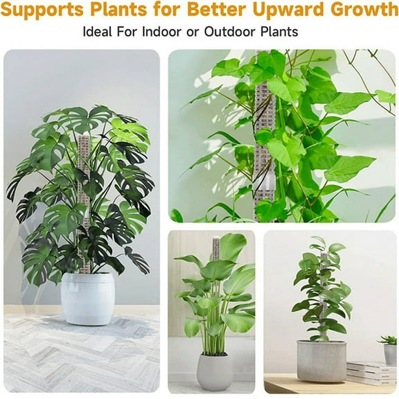 Stackable Transparent Plastic Moss Pole for Plants Monstera , Indoor Plant Accessories Support Stakes, Stakes