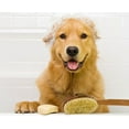 thumbnail image 4 of Espree Dog & Cat Shampoo, 4 of 5