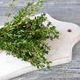 thumbnail image 5 of Proven Winners 4" Proven Selections Aromatic Thyme Thyme Live Herb Plant in 4.25" Pot (4 Count), 5 of 7