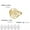 Gold, variant on Star Of David Tree Of Life Ring Women Stainless Steel Hexagram Rings Jewelry