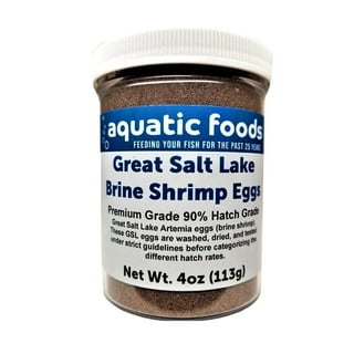 GSL ARTEMIA (BRINE SHRIMP EGGS) – Reed Mariculture