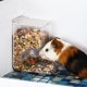 thumbnail image 1 of Alimentador Alimentos Comedero para hámster, rata, comida transparente automática, cuenco para comida de animales pequeños (B) Likrtyny Para estrenar, 1 of 8