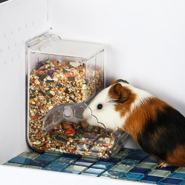 Alimentador De Comida Transparente Automático Para Hámster De Rata Tazón De Comida Para Animales Pequeños (B)