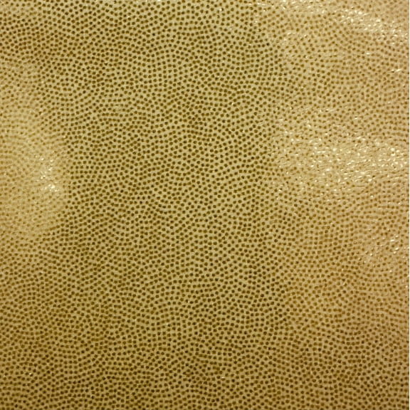 Foggy Foil on Stretch Poly Spandex Fabric  |Spandex Palace