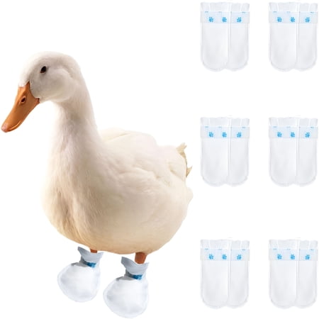 GJX Duck Shoes for Real Ducks Chickens 6-Pair Waterproof & Disposable Booties with Self-Adhesive Bandage for Waterfowl Wound Foot Care Bumblefoot (Waterproof Version L)