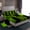 Black Lime, variant on Homewish Cheetah Leopard Print Full Size Sheets, Cartoon Polkadot Bed Sheets, Black Orange Stripes Ombre Sheet Sets, 4-Piece