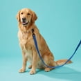 thumbnail image 2 of Vibrant Life 6' Solid Polyester Leash, Blue, M/L, 2 of 10