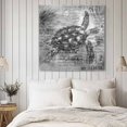 thumbnail image 4 of Grey Sea Turtle Wall Art Painting on Canvas, Coastal Nautical Summer Beach Vintage Canvas Art Home Prints Wall Art Framed Modern Artwork for Living Room Bedroom Wall Decor 12x12in, 4 of 9