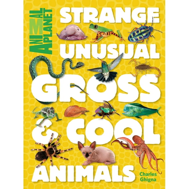 Strange Unusual Gross Cool Animals An Animal Planet Book Strange Unusual Gross Cool Animals
