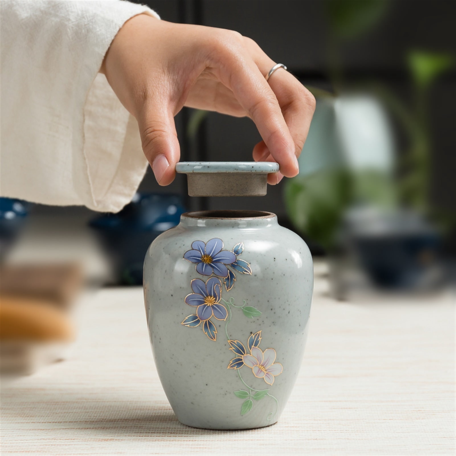 Hand Painted Variable Glaze Chinaware Cremation Urn Memorial Ceramics Pet Ashes Urn