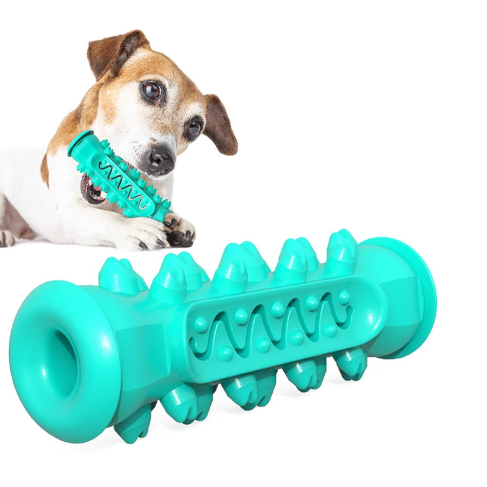 new dog toothbrush toy